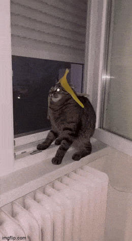     , , , 