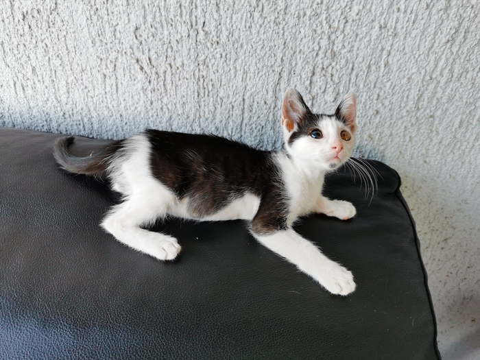 ��� ������ ������� ������������ ��������, � �������� ���������� �� �������, �������� � ������� ������ ��� �� ��� ����� � �������� � ���� ����� �� facebook ��� ������ �������.