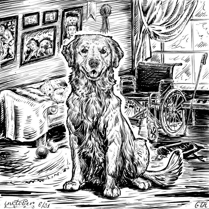 Golden |  inktober2023