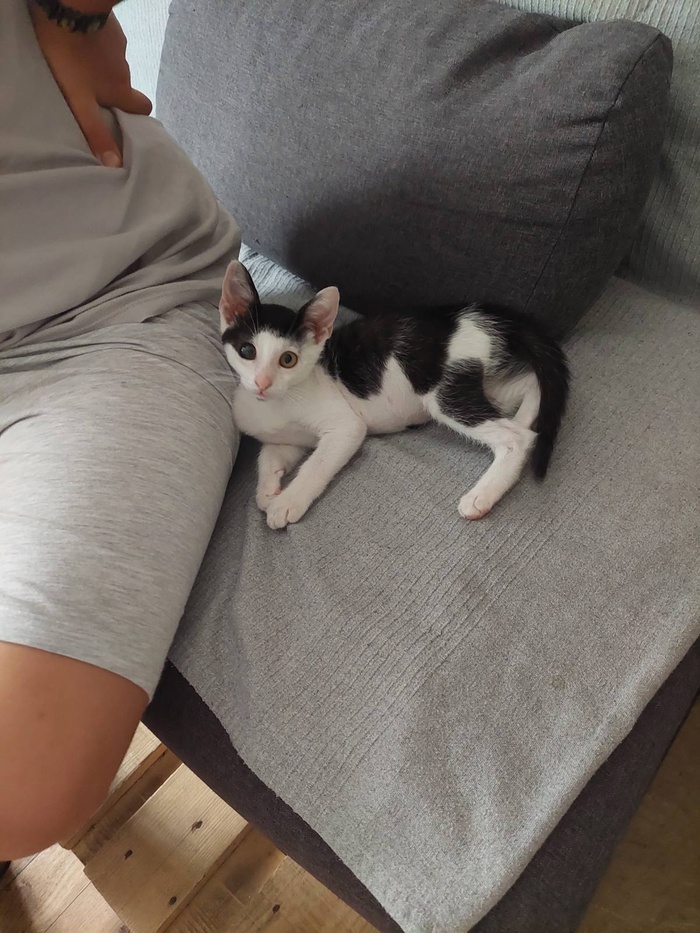 ������ ���� � ����� ����