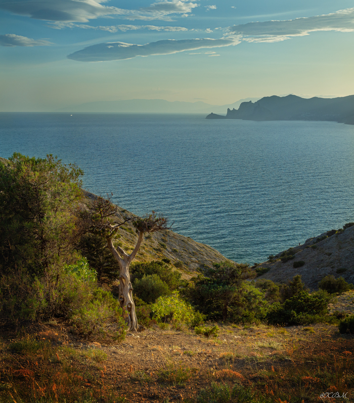 на горе Алчак-Кая