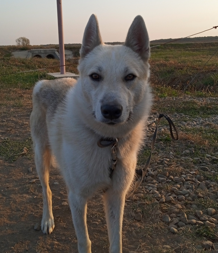 ����� ����� ������. ��� ��������� � ��� ������ ���� ������� ��� �������)