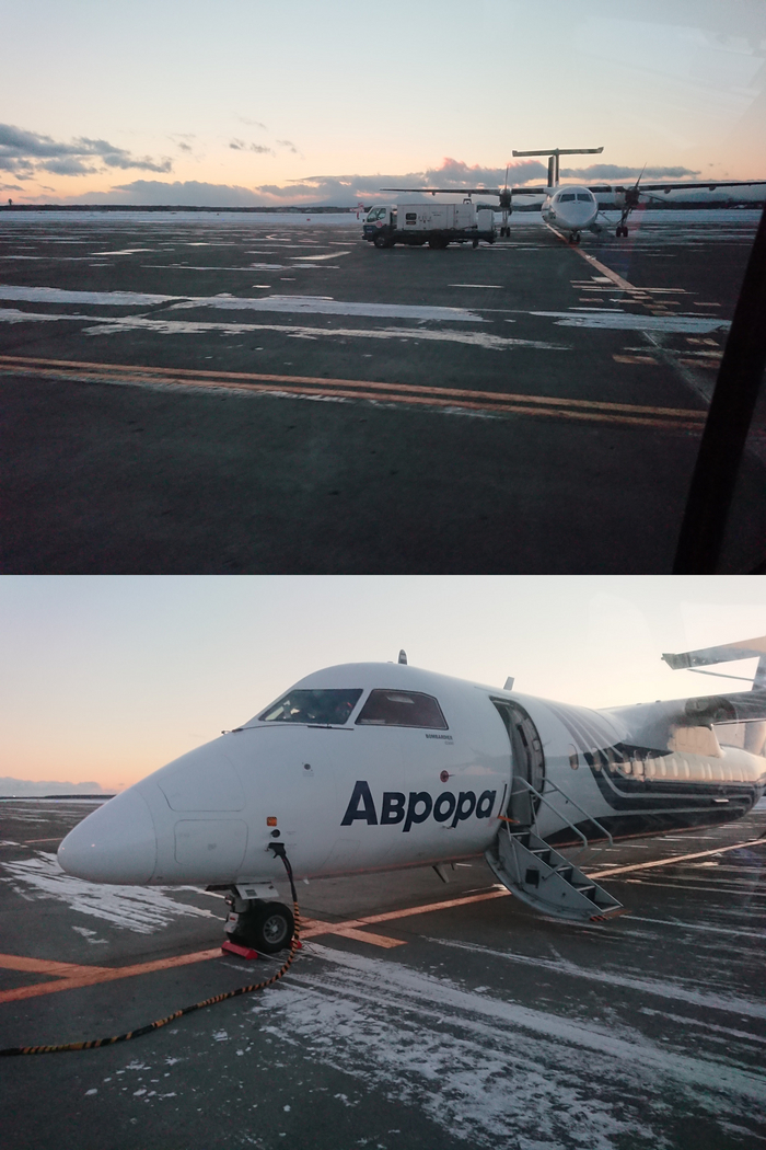 Родная наша Дэшька. Нелегальный кадр — традиция.