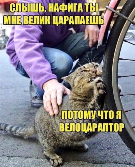 Велоцараптор