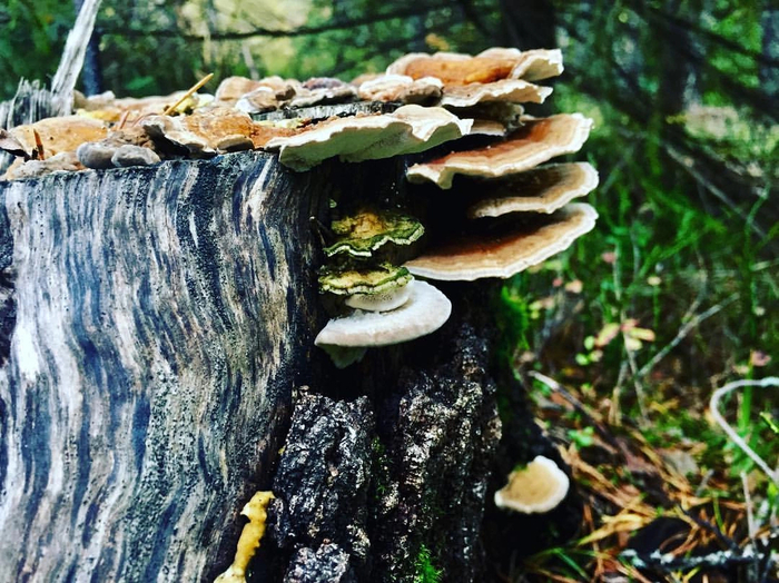 ���-�� � ����