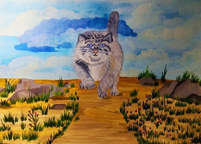 ���� ���? �� ��������!