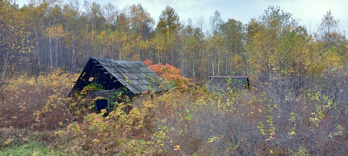 Старая деревня