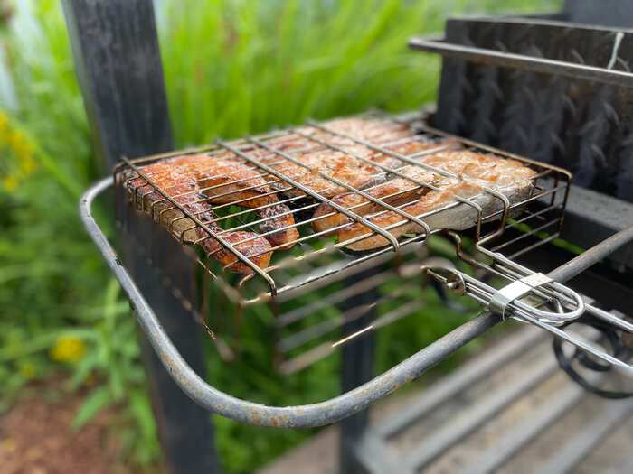 ���� ������