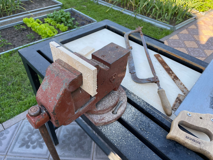 ���� ������