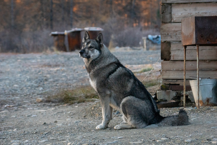 Мы с Мишаней на границе!
