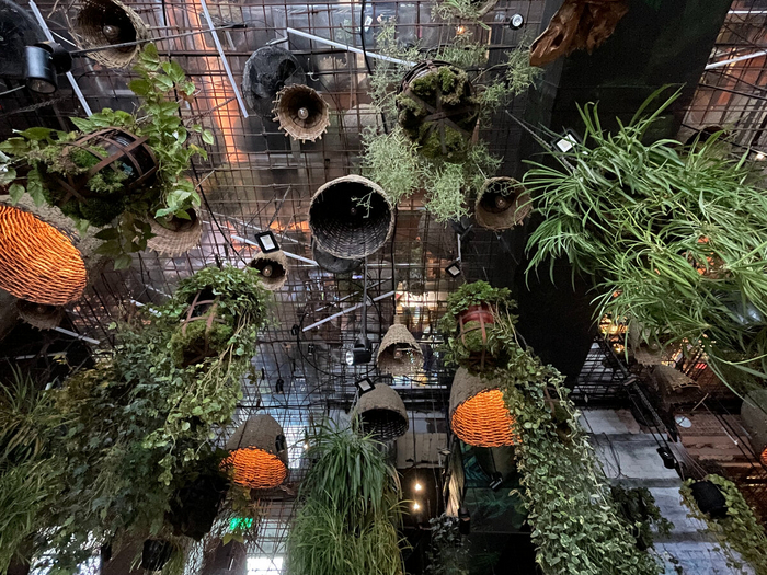 ���� ������