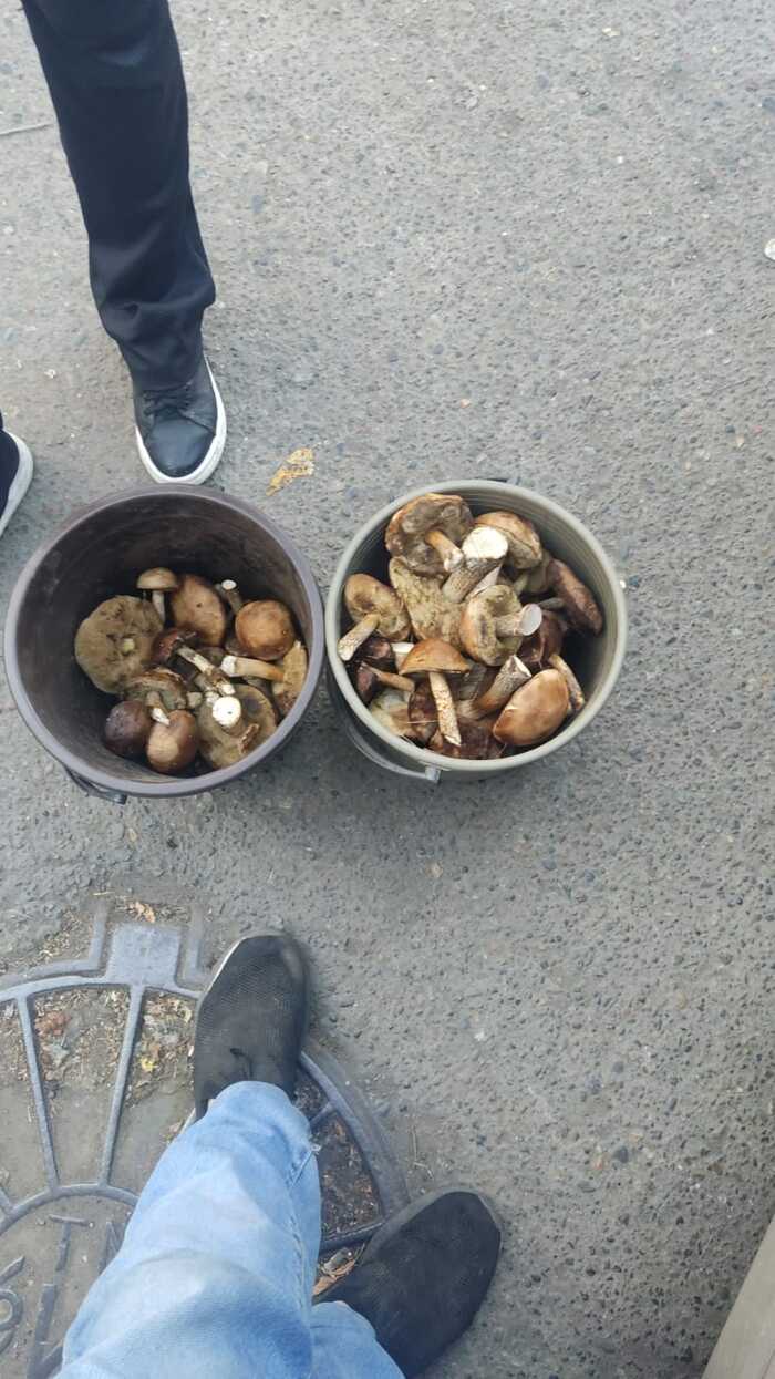Разные вёдра | Пикабу