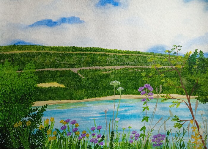 ������ ��� �������� ������ �4 350�/�2, �������� Sonnet ������� �������, ����� �16, 2, 1.