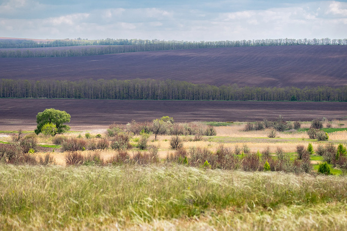 Родные просторы