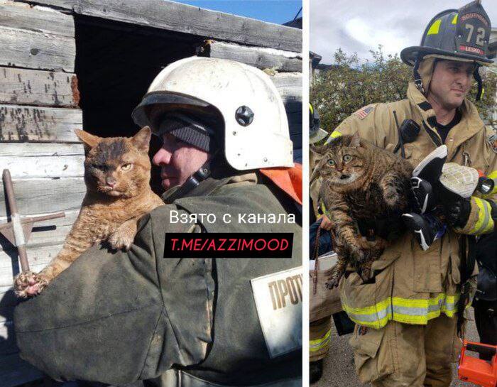 ������� � ������������ ���