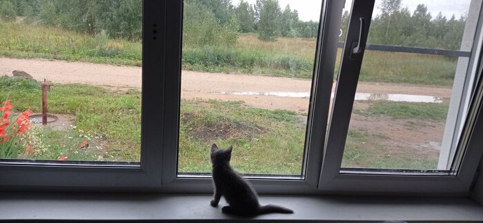 ������� �� ����, ������ �����