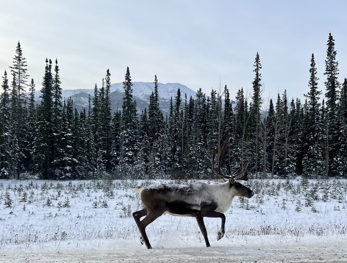 �� ��������� ���������� ��������