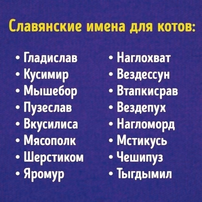 Славянские имена... | Пикабу