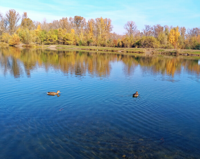 Рябь на прозрачной воде у берега ПКИО Абакана