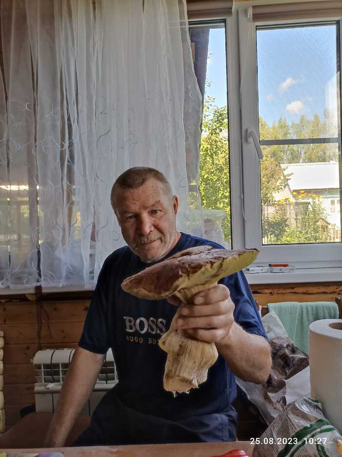 Гриб-богатырь