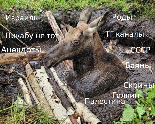 Полное погружение | Пикабу