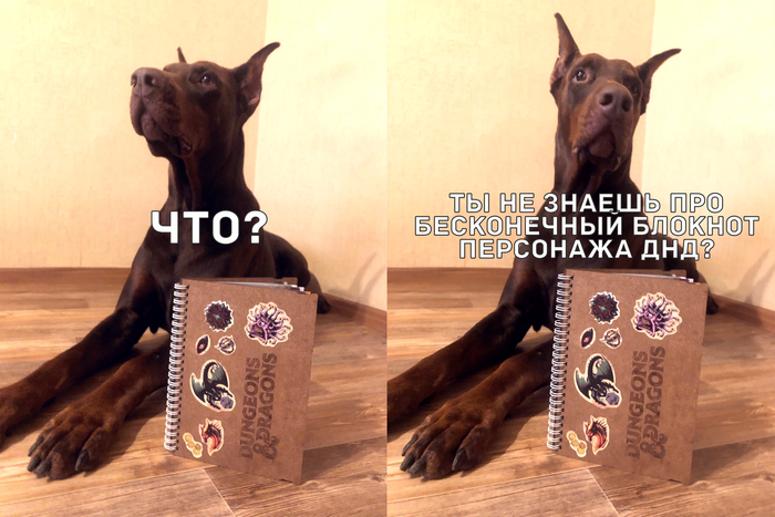  )  , DnD 5,   , Dungeons & Dragons,  ,   