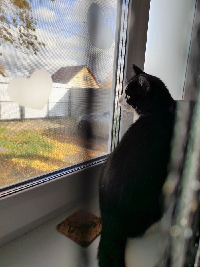 ������... �����...