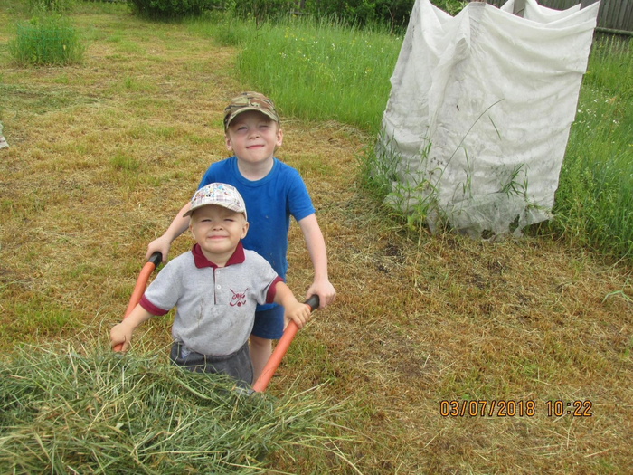 Эти парни знают что такое сенокос