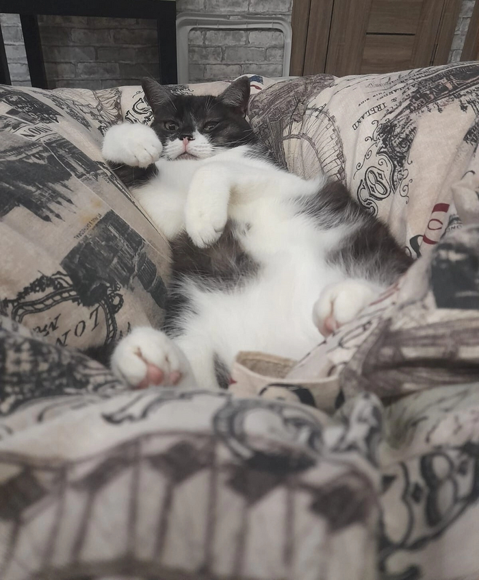 ,     ,  ,  ,  ,  