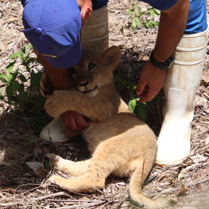 А когда вырасту, я тебе лицо обгрызу :3