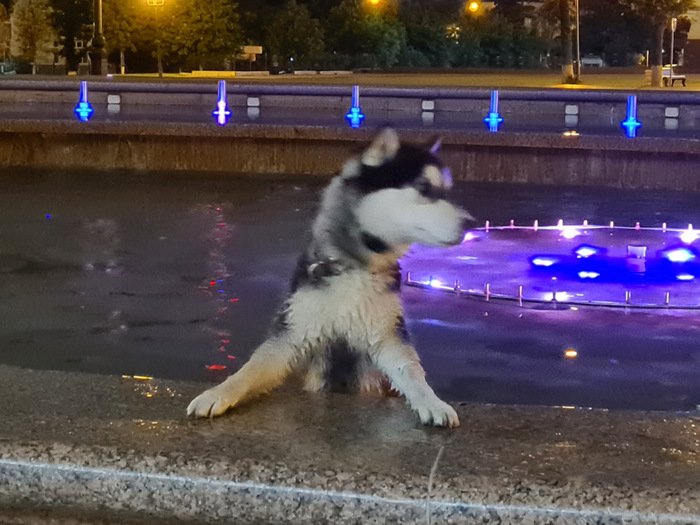 ОЙ. А как выбраться? У меня же — лапки.