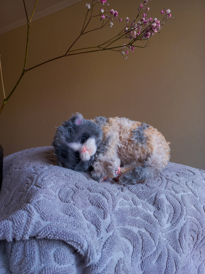 Котенок по фото.