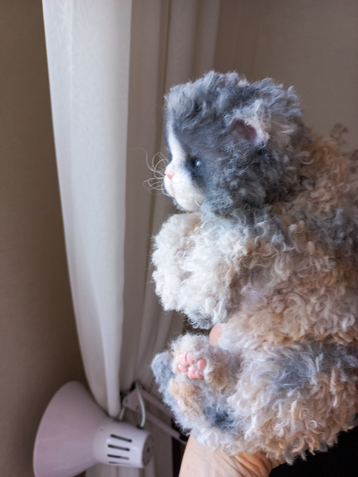 Котенок- овечка 🐈