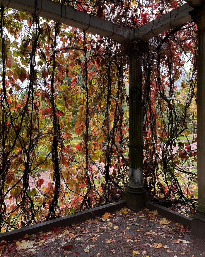 Осень в Царском селе Природа, Мобильная фотография, Екатерининский парк, Осень, Длиннопост