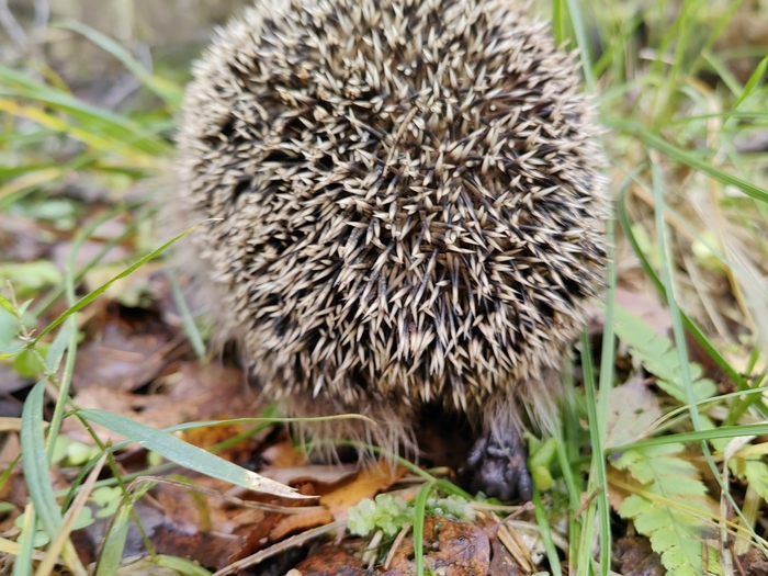 ������� ������� ����������, ��������� �� ��������� ������. ������ ������� �����, � ����������� ������ - �� ������� ������� �� �������, � �� ������ ���.