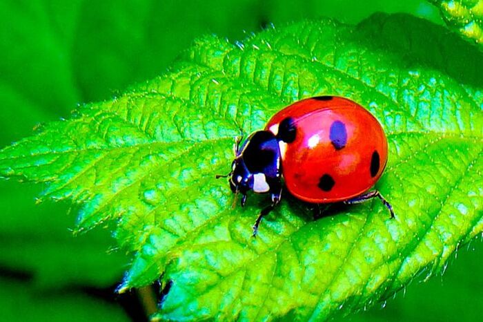 ����� ������ ������������ ���������� ������. ��� 10. ���������� ����� �����, ������, ������������, ����������, �����, YouTube, �������������, ����������, ��������, �����, ����������