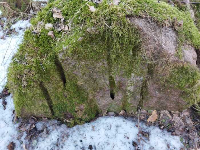 ������� � ������ ����