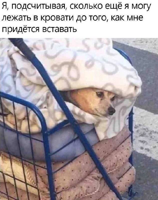 ������� �� ���������