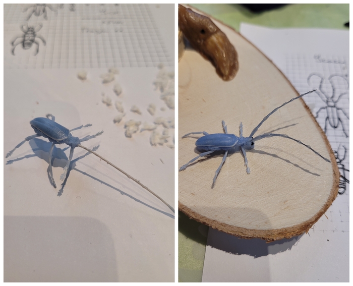 � ������ ������ ��� ������� ����