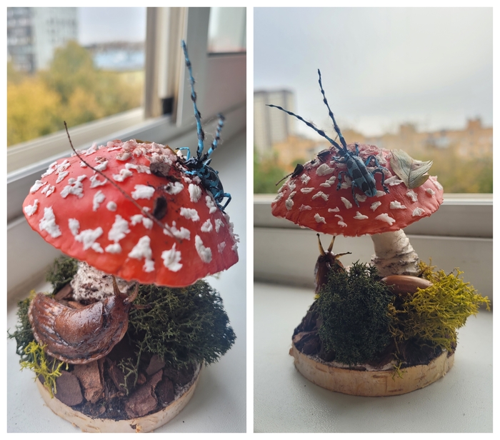 ���, ��� � ����� ����������