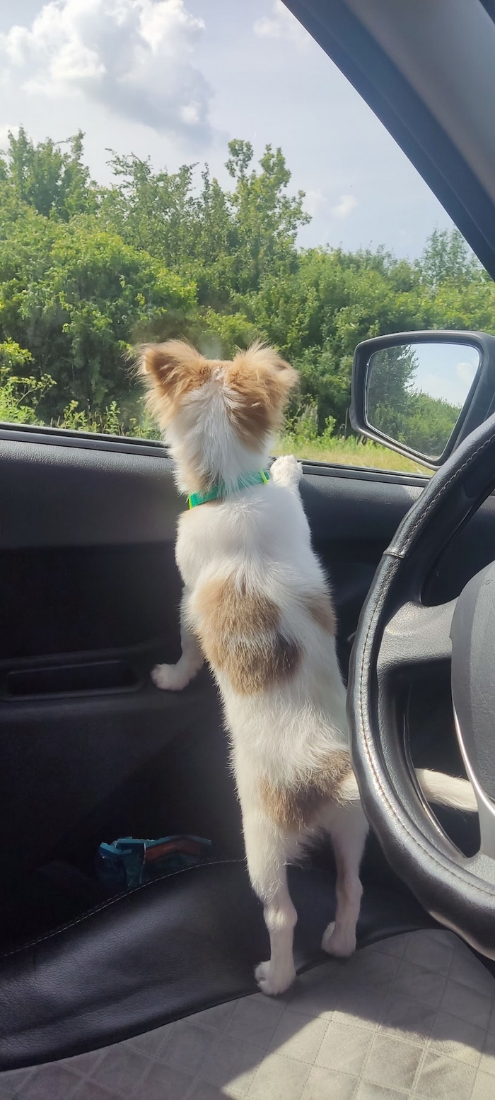 Ждали в машине долго.