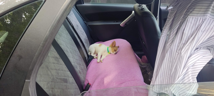 Всё, устал писать уже.