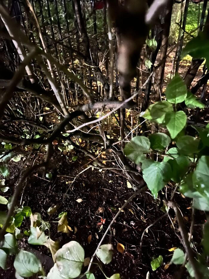 Это, конечно, капля в море, но полезный пример заразителен) Не мусорите, друзья)