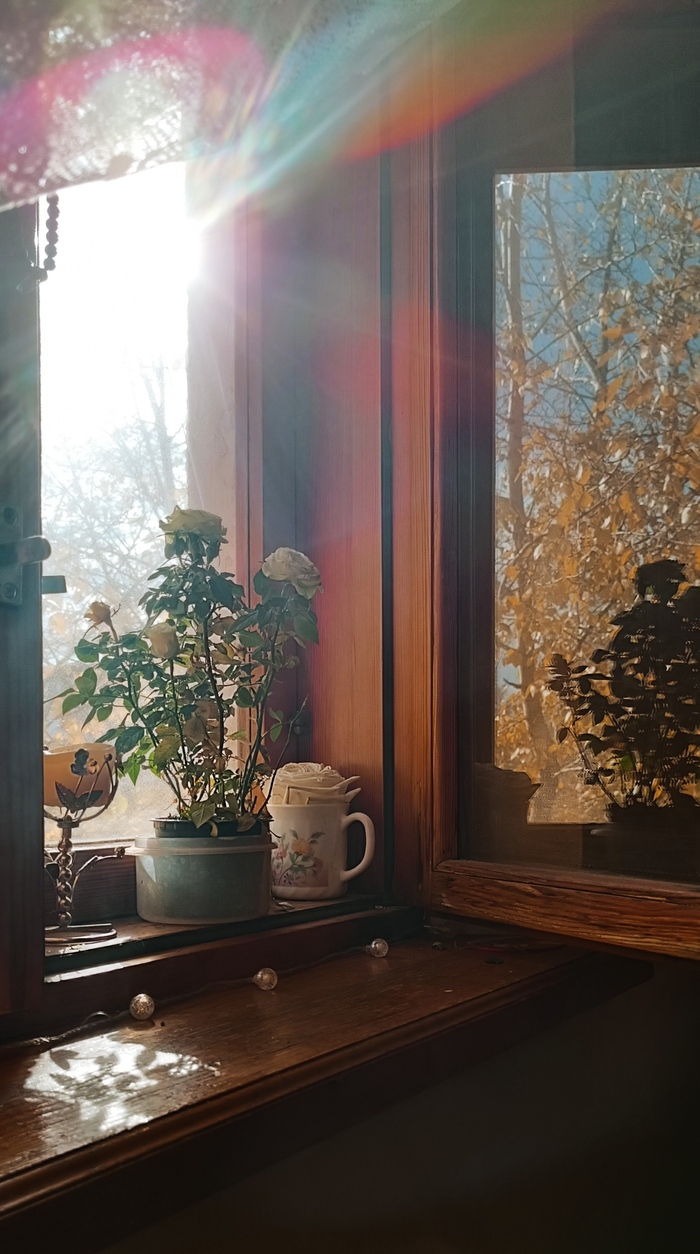 Уютный солнечный день:)