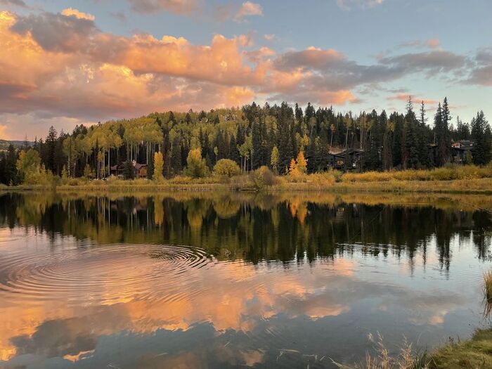Осенний лес, небо, водная гладь...