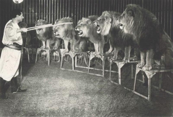 Советский укротитель