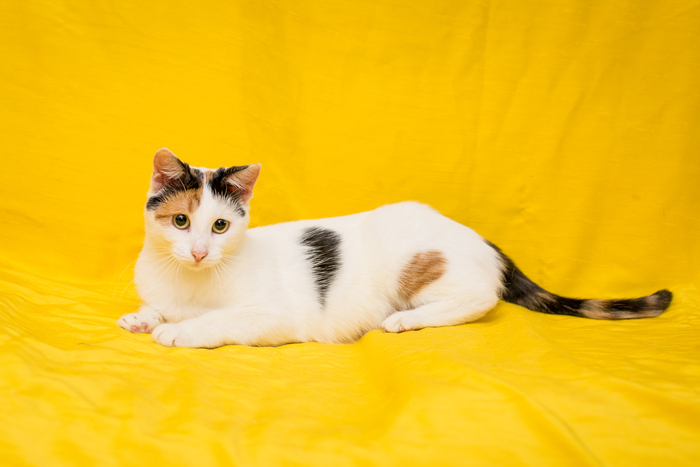 ��������� ����� ����� ���� ���. ������