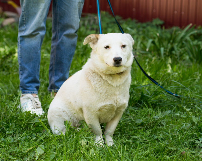 ���� ����� ����� ���� ������� �����