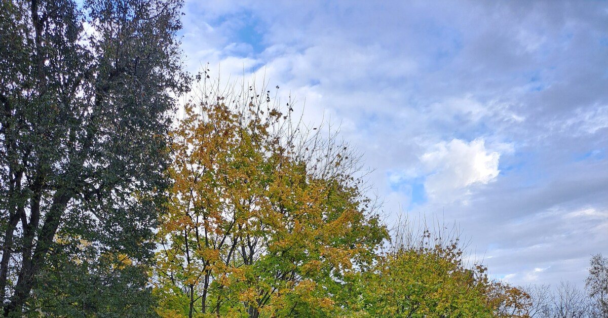 Подмосковная осень | Пикабу