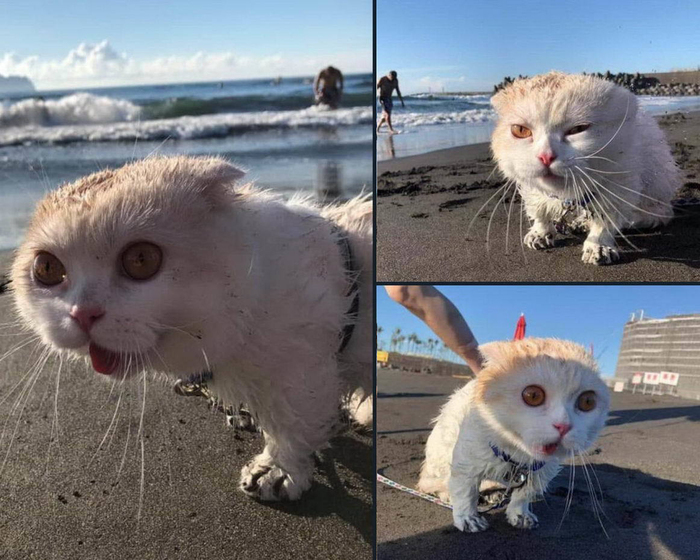 ������� �� �����